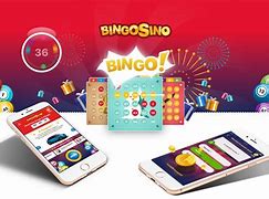 Slot For Bingo Penipu Atau Bukan